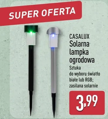 Solarna lampka ogrodowa do wyboru światło białe lub RGB zasilana solarnie promocja w Aldi