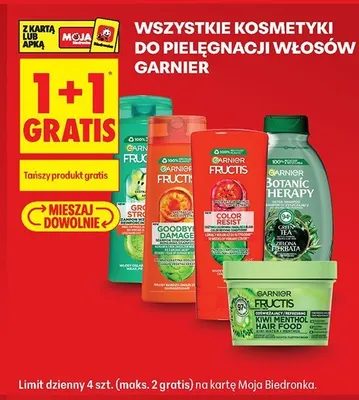 Szampon do włosów Garnier Botanic Therapy promocja w Biedronka