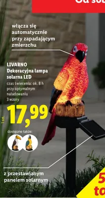 Dekoracyjna lampa solarna LED papuga promocja w Lidl