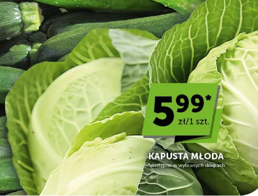 Kapusta młoda promocja w Euro Sklep