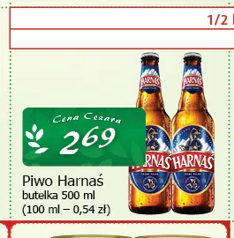 Piwo Harnaś promocja w CEZAR Delikatesy
