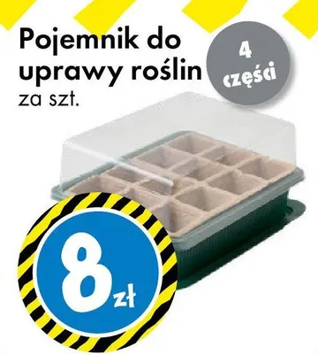 Pojemnik do uprawy roślin promocja w Tedi