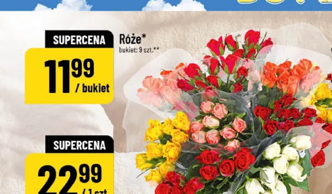 Róże promocja w POLOmarket