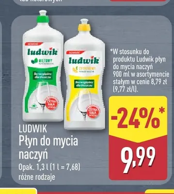 Płyn do mycia naczyń cytrynowy Ludwik promocja w Aldi