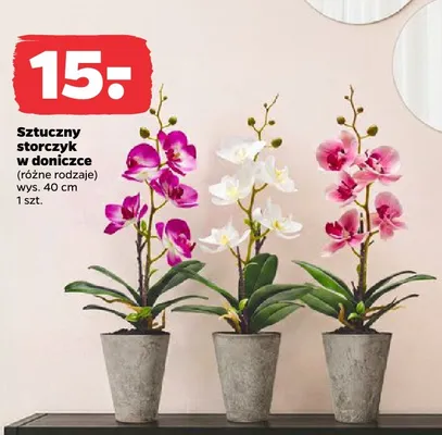 Sztuczny storczyk w doniczce promocja w Netto