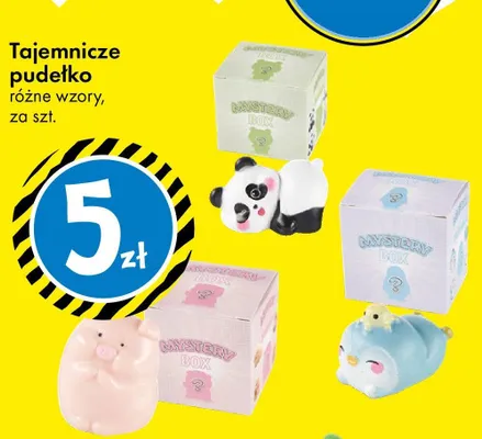Tajemnicze pudełko różne wzory promocja w Tedi