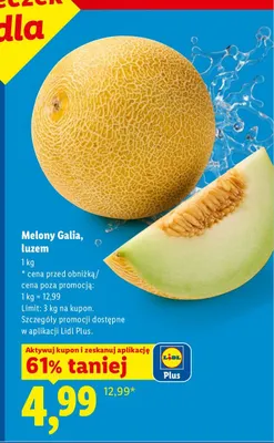 Melon Galia luzem promocja w Lidl