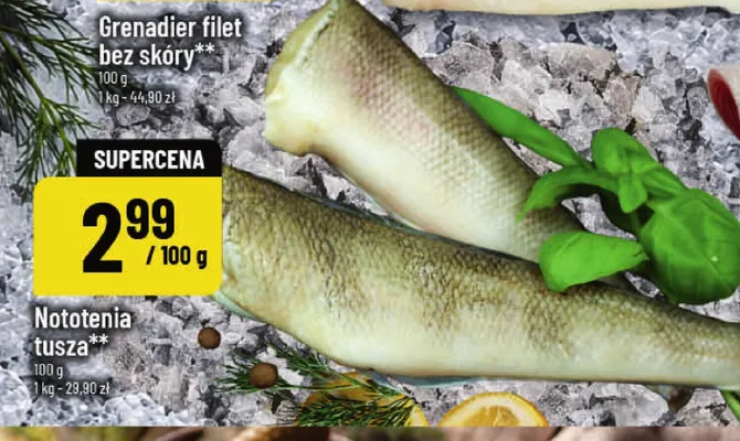 Nototenia tusza promocja w POLOmarket