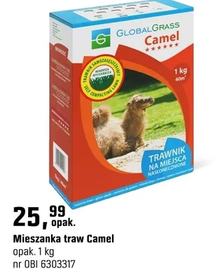 Mieszanka traw Camel promocja w OBI