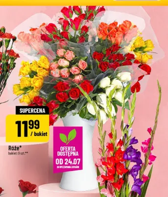 Róże promocja w POLOmarket