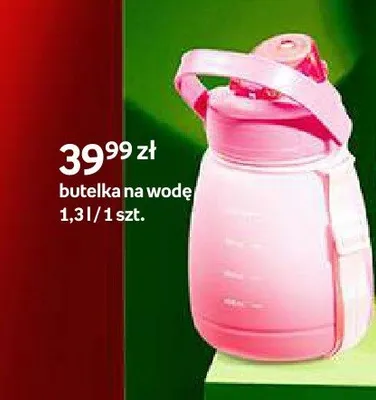 Butelka na wodę Picnic 1,3l promocja w Empik