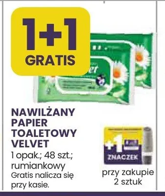 Nawilżany papier toaletowy Velvet rumiankowy promocja w Stokrotka