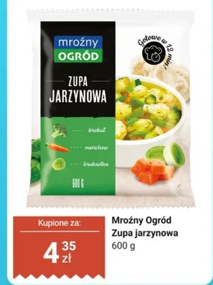 Zupa jarzynowa promocja w Dino