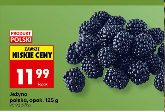 Jeżyna polska promocja w Biedronka