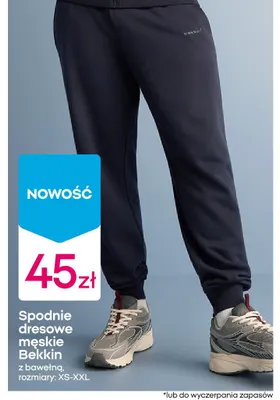 Spodnie dresowe męskie Bekkin z bawełną promocja w Pepco
