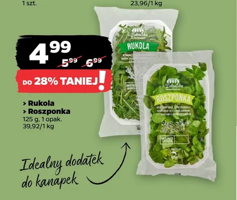Rukola z Zieleniaka promocja w Netto