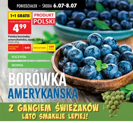 Borówka amerykańska polska promocja w Biedronka