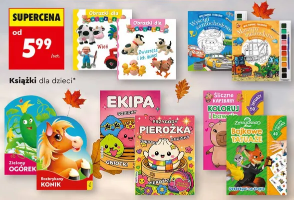 Książki dla dzieci Biedronka promocja w Biedronka