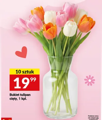 Bukiet tulipan cięty promocja w Dzień Matki