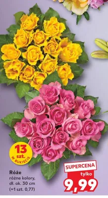 Róże 13-pak promocja w Kaufland