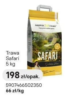 Trawa Safari promocja w Castorama