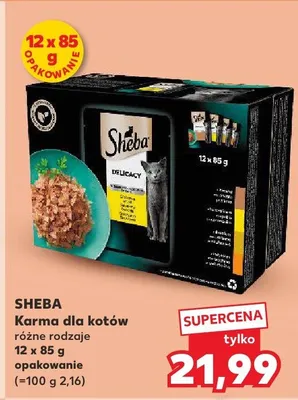 Karma dla kotów różne rodzaje promocja w Kaufland