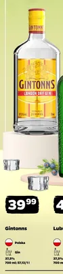 Gin Gintonns London Dry Gin promocja w Netto