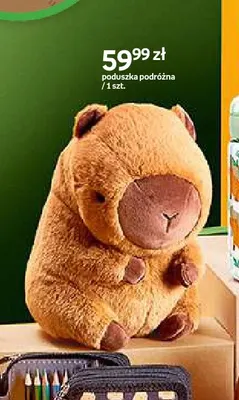 Poduszka podróżna Cappy Classes promocja w Empik