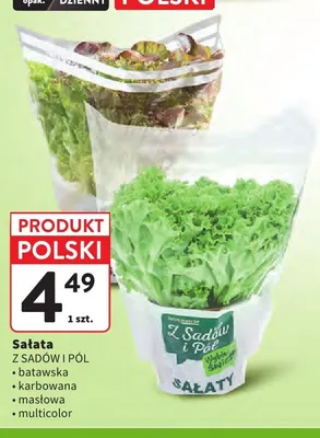 Sałata multicolor Z Sadów i Pól promocja w Intermarche