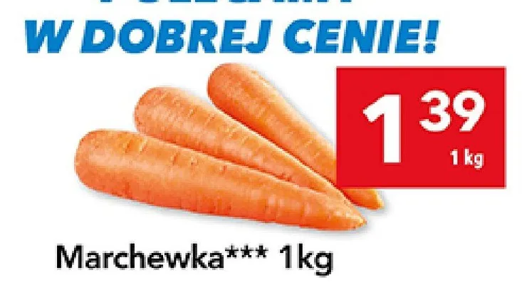 Marchewka LEWIATAN promocja w LEWIATAN