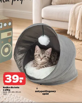 Budka dla kota z piłką promocja w Netto