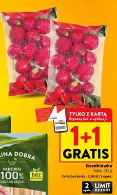Rzodkiewka folia promocja w Intermarche