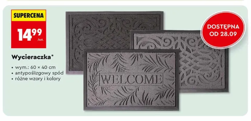 Wycieraczka 60x40 cm Biedronka promocja w Biedronka