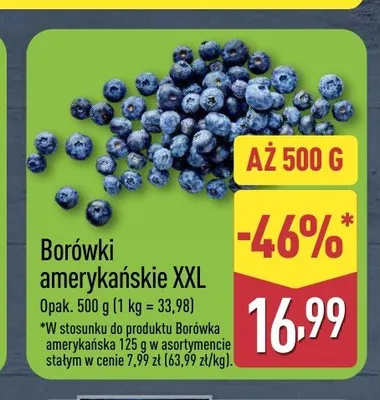 Borówki amerykańskie XXL promocja w Aldi