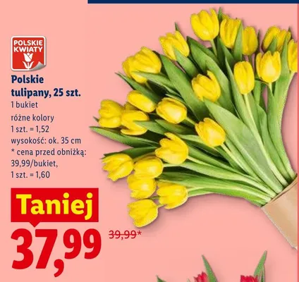 Polskie tulipany wys. ok. 35cm promocja w Lidl