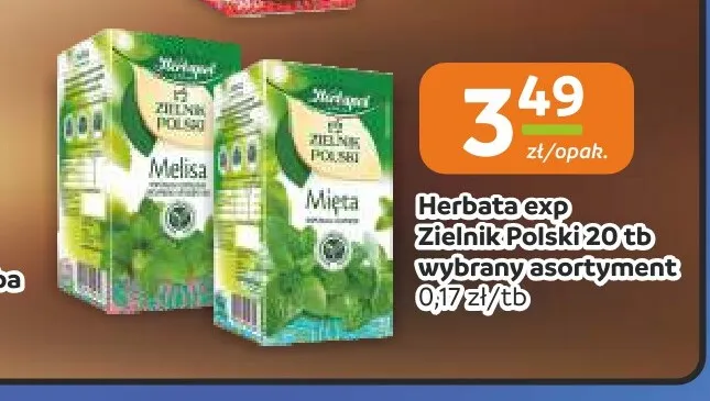 Herbata Herbapol Zielnik Polski Mięta promocja w Społem Częstochowa