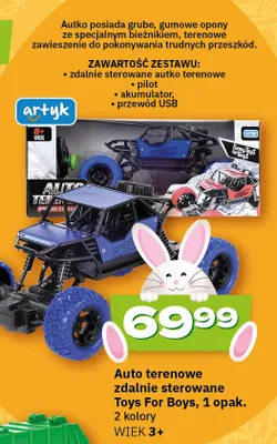 Auto terenowe zdalnie sterowane Toys For Boys, 1 opak. promocja w Twój Market