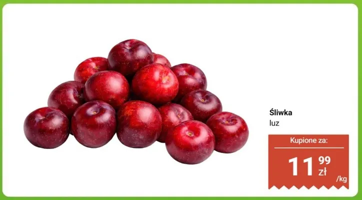 Śliwka Dino promocja w Dino