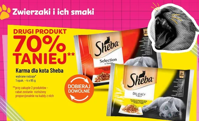 Karma dla kota Sheba Delicacy in Jelly promocja w POLOmarket