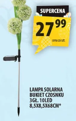 Lampa solarna bukiet czosnku 3gl. 10 led promocja w Arhelan