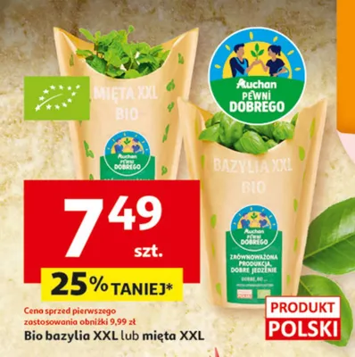 Bazylia XXL lub mięta XXL promocja w Auchan