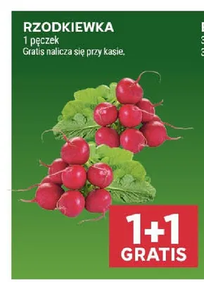 Rzodkiewka promocja w Stokrotka