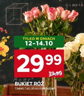 Bukiet róż 7 szt. 60 cm promocja w Stokrotka