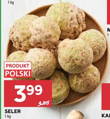Seler polski promocja w Stokrotka