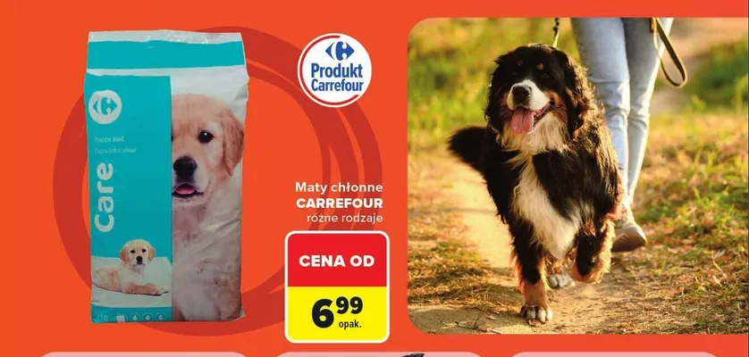 Maty chłonne Carrefour Care promocja w Carrefour Market
