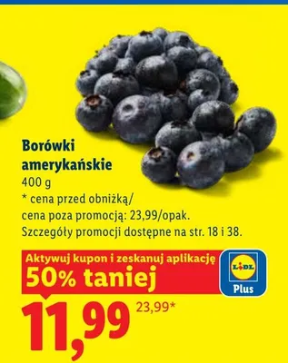 Borówki amerykańskie promocja w Lidl