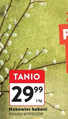 Makowiec babuni promocja w Intermarche
