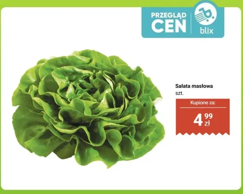 Sałata masłowa 1 szt. promocja w Dino