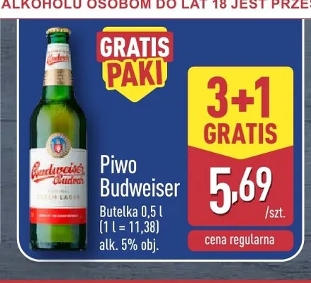 Piwo Budweiser promocja w Aldi