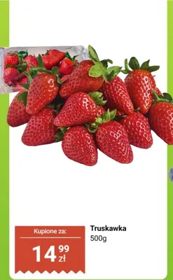 Truskawka 500 g promocja w Dino